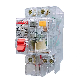 Delixi Dz47trle 1p+N 2p 3p Transparent Earth Leakage Circuit Breaker