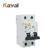  2 Pole 30mA 60Hz Low Price Earth Leakage Circuit Breaker