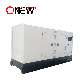  230kVA 184kw Rate Power 3 Phase 1phase Diesel Generator Super Silent / Open Frame Water Cooled Generator Set 250kVA Standby Power Diesel Generation Price