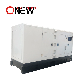 230kVA 184kw Rate Power 3 Phase 1phase Diesel Generator Super Silent / Open Frame Water Cooled Generator Set 250kVA Standby Power Diesel Generation Price