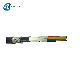  Lt Fire Retardant Low Smoke Frls Fr Ayy/Yy/A2xy/2xy XLPE Power Cable Prices
