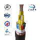  0.75/1/1.5/2.5/4/6/10mm Copper Wire XLPE Insulated Braid Screened Control Cable 2core - 61core (Customizable)