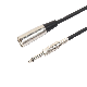 Professional Audio XLR Male to 6.3mm Trs Male PRO Audio Video Stereo Mic Cable