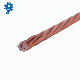  High Tensile Strength Copper Clad Steel Wire/CCS Wir