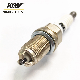 Car 3 Ground Electrodes Automobile Normal Nickel Spark Plug Bkur6et, Bkur5et, Bkur5et-10, , Bkur6et-10 for, Toyota, Hyundai, Honda, Nissan, Suzuki, Audi Engine