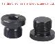 Black Magnetic Oil Plug with Outer Hexagon Threadscrew Oil Drain Plug Pipe Plug Screw