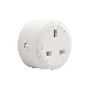 Smart Home Mini Socket WiFi Outlet Alexa Smart Plug WiFi Tuya Smart Plug Time Control Remote Control