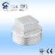 Industrial Stainless Steel Thread Square Plug