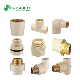 High Quality 1/2" 12" CPVC Fittings CPVC Pipe Fitting Pn16 Sch80 and ASTM D2846 Standard