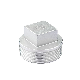 Stainless Steel 304 316 External Thread Square Plug