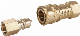  Brass Quick-Connect Coupling for Natural Gas Hoses