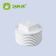  PVC Male Plug Male End Cap Threaded Water Plug