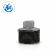 Water Connection High Quality Hot Dipped Galvanized 1 Inch DIN Beaded End Plug