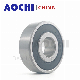 High-Precision Motorcycle Spare Parts Bearing (6302)