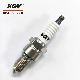 Better Acceleration Auto Iridium Spark Plug Eix-Bpr5