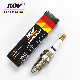 Auto Iridium Spark Plug Fix-Zfr5-11 for BMW X1 N46b20cc