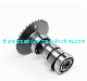 Scooter Spare Parts Camshaft for 50cc 125cc 150cc Engine