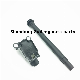 Suitable for Truck Weichai Engine Ignition Coils 1000264408