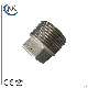 Investment Casting Stainless Steel Male Threaded Square Head Plug Applied in Plumbing System