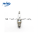  Motorcycle Engine Parts Spark Plug for D8tc