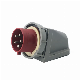 Economic Type Wall Mounted Plug for Industrial Application