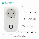  Fast Delivery WiFi Power Electrical Plug and Socket Work with Google Home Amazon Alexa Tuya APP