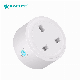 Alexa/Google Home Smart Life Remote Control WiFi Smart Plug Socket