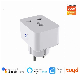 Hot Sell 80% off Universal Smart Home Remote Voice Control Scheduled Timing Smart WiFi Plug Socket EU 16A