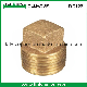 All Size Quality Casting Bronze Plug (AV-QT-1011)