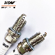 Auto Spare Parts Iridium Power Spark Plug Bkr6EIX-11 Suitable for Multiple Models