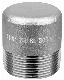 Stainless Steel A182 316L 3000# Round Pipe Plug