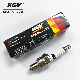  Motorcycle Spark Plug Cr6hsa for Tvs Motor Scooty Pep, Pep Plus