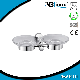 304 Stainless Steel Bathroom Accessories / Bathroom Double Soap Dish Holder manufacturer
