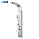  8094 Five Function Wall Mount Polished 304 Stainless Steel Bathroom Shower Column