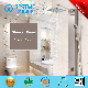 Hot Selling Three Function Wall Hung Stainless Steel Shower Panel (BF-W015)