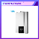 China Manufacturer Hot Sale Home Appliance Portable Forced Type Boiler