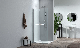 Pivot Walk-in Shower Doors with Extension Aluminum Profile