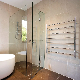  10mm Fully Frameless Shower Screen