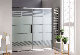  High Quality Tempered Glass Shower Screen/Shower Door (TL-488)