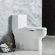  Cupc Siphonic Flush American Style Wc Water Ceramic Bathroom One Piece Toilet