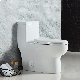 Cupc Siphonic Flush American Style Wc Water Ceramic Bathroom One Piece Toilet