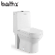 China Manufacturer Bathroom Sanitary Ware White Glazed One Piece Toilet manufacturer