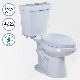 High Efficiency Bathroom Sanitary Ware Elongated Two Piece Toilet with Insulated Tank for Canada