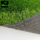  20%off Home Decoration Landscaping Synthetic Turf Sporting Football Landscape Artificial Grass