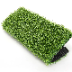  Arc Type 10500 PP Bag Football Turf 50mm Sport Grass Garden