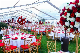 500 Seater Ideal Outdoor Large Clear PVC Fabric Transparent Tents for Wedding Party