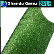 7mm 8mm 10mm Economic Green Grass Carpet Synthetic Turf Artificial Grass Lawn