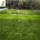  Eco-Friendly Padel Tennis Ourt Synthetic Lawn