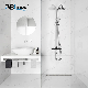 Ablinox ODM/OEM Bathroom Mixer Sanitary Ware Stainless Steel Rain Shower manufacturer