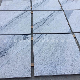 Chinese Viscont White/Grey Granite Tiles for Slabs/Tiles/Countertops manufacturer